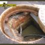 Blocked drains