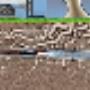 Bloemfontein Blocked Drains