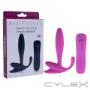 Uploaded by visitor on 2016/10/10 - Anal Vibrator