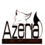Azeria Tech