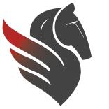 Strategies Migration Services South Africa