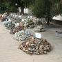 Rough Stones for Sale