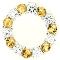 Citrine-circle-of-life