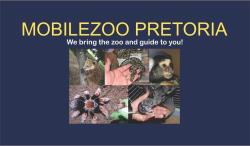 Mobilezoo Pretoria