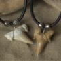 Shark Teeth Necklaces Otodus Range