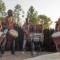 West-African-Drummers