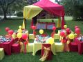 Bronze Package - Kiddies parties
