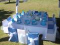 Themed Budget Package - Kiddies parties