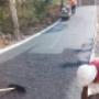 Driveway 1