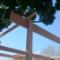 Pergola-Plantations-4