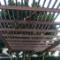 Pergola-Plantations-7