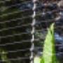 Electric Fence Best Defence