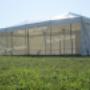 4x8m Pole Marquee