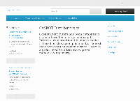 Caskot Distributors CC's website