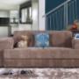 Specialize in Couch