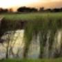 Lakeside road