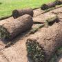 Uploaded by visitor on 2017/01/31