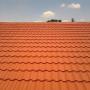 Residential roof painting