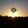 Windmill
