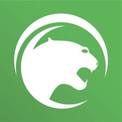 Puma Video