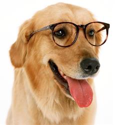 Rohann Mattheus Optometrist