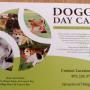 Doggy daycare