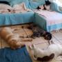 Nap time