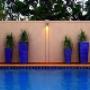Ornamental Wall
