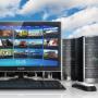Website Hosting