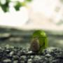 Uploaded by visitor on 2017/04/08 - Android Application Development