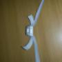 White Hand Strap with Poly Buckle