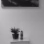Uploaded by visitor on 2017/04/24 - Inside