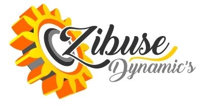 Zibuse Dynamics
