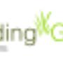 logo design 4