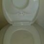 Dual Family Toilet Seat