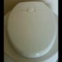 Dual Family Toilet Seat