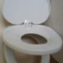 Dual Family Toilet Seat
