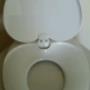Dual Family Toilet Seat