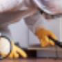 Pest Control Companies