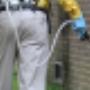 Pest Control Services