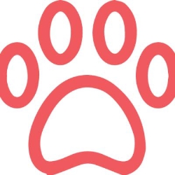 Safarisource