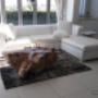 Uploaded by visitor on 2017/05/17