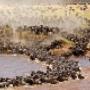 Migration safaris in Serengeti