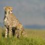 Ngorongoro crater