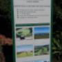 roll up banners