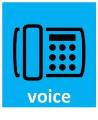 Business Voice Solutions