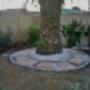 Uploaded by visitor on 2017/09/13 - Garden dasigning