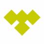 VSV - Logo