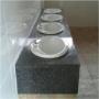 Uploaded by visitor on 2017/07/23 - Compound vanity with drop in basins for a public toilet.