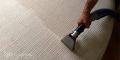 Upholstery Cleaning
